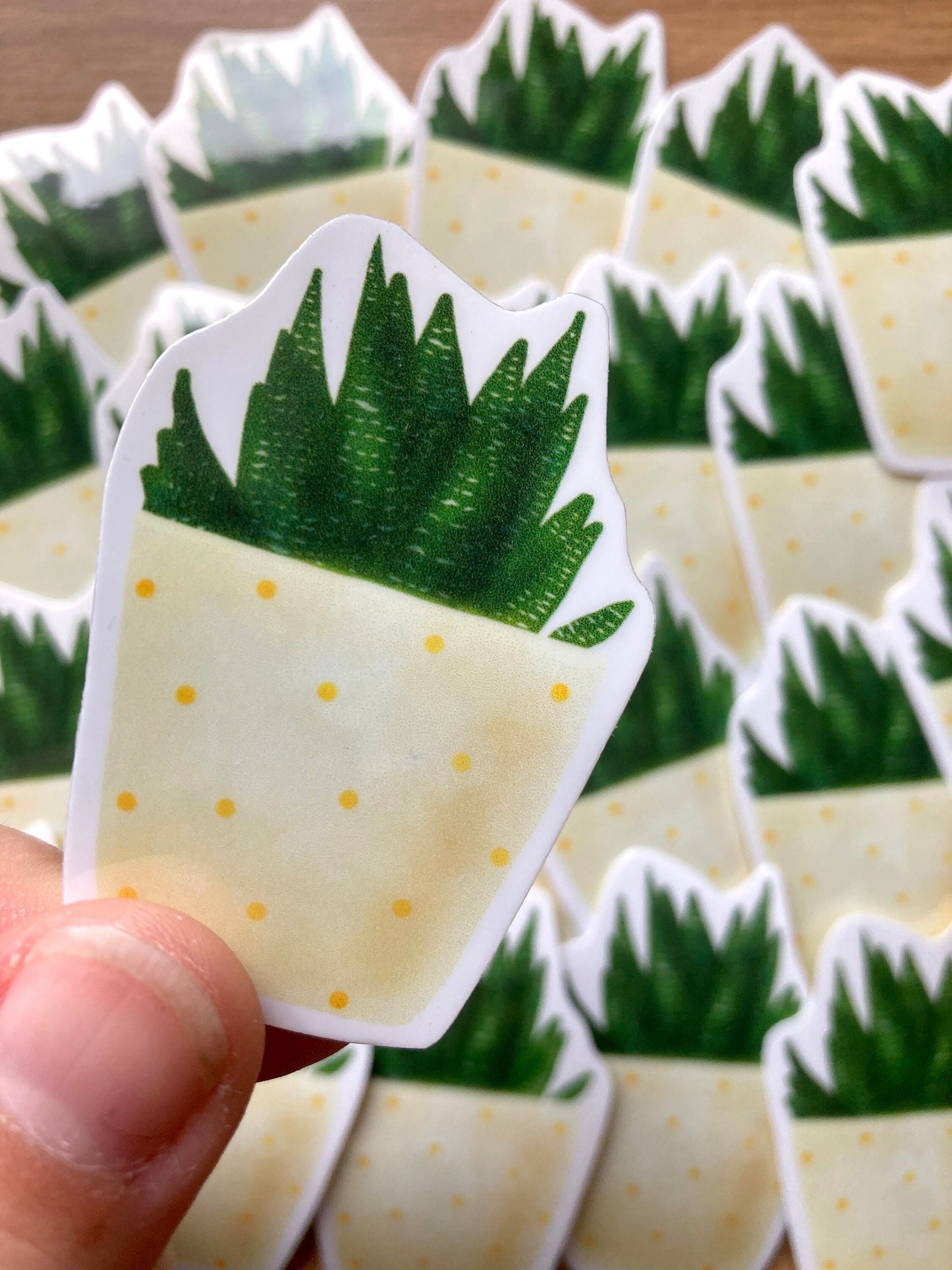 Cute cactus Vinyl Sticker, Perfect gift for the sticker lover, small cute gift, cactus vinyl , TurtleCraftUK
