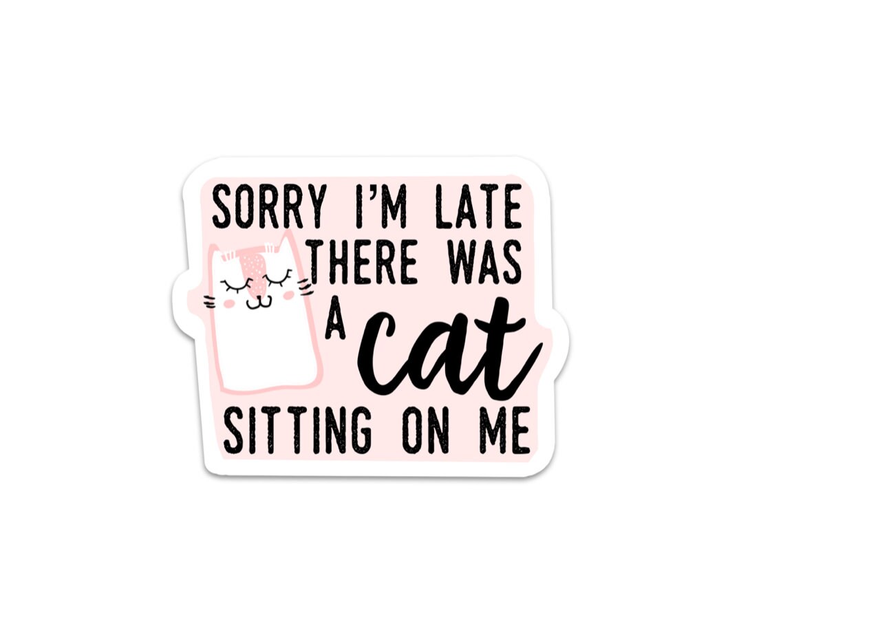 My cat as sitting on me