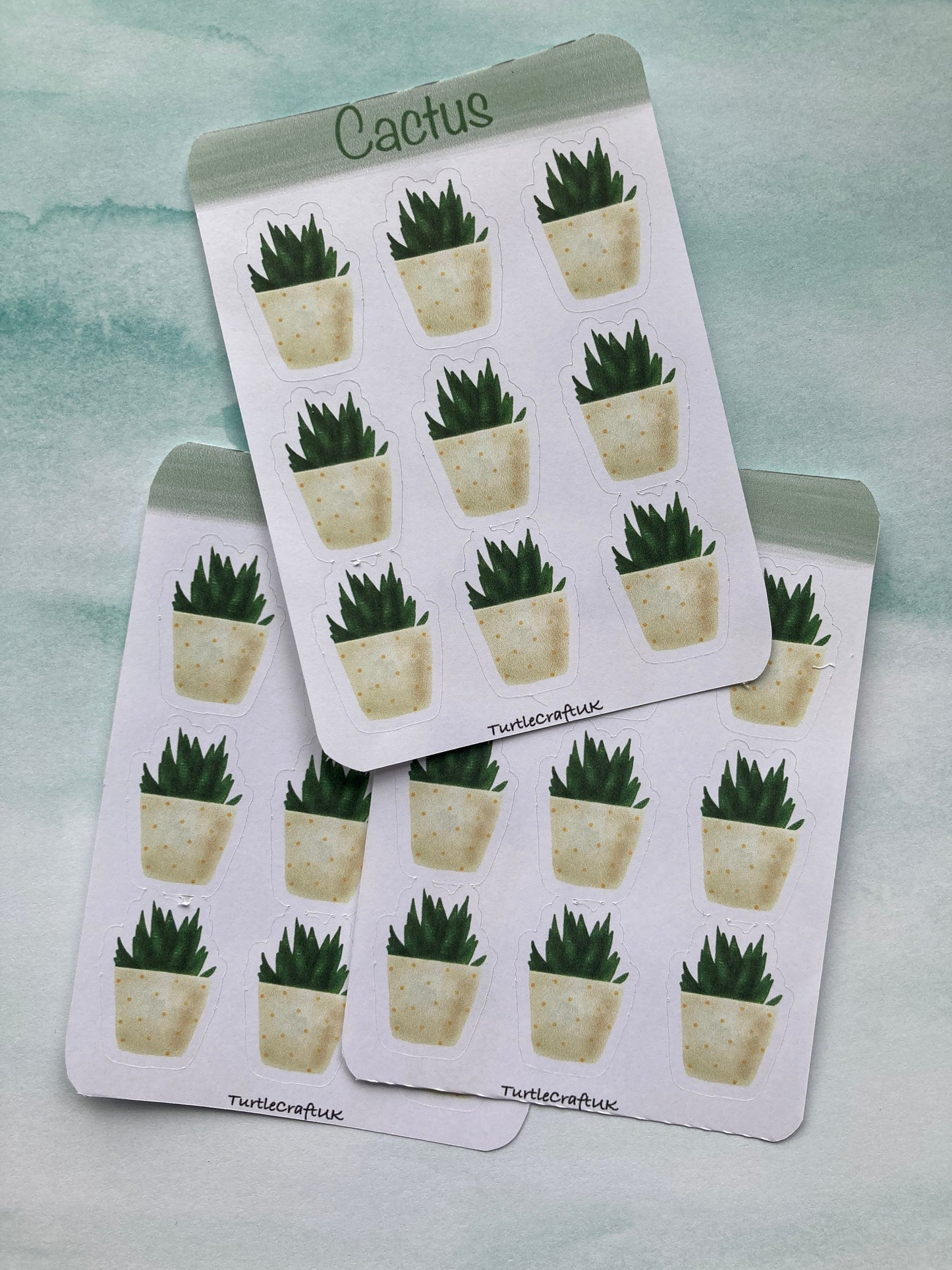 Cactus stickers/ Cacti Sticker Sheet/ succulents stickers/cactus love stickers/ Perfect for bullet journal/ Turtle Craft UK/Planner stickers