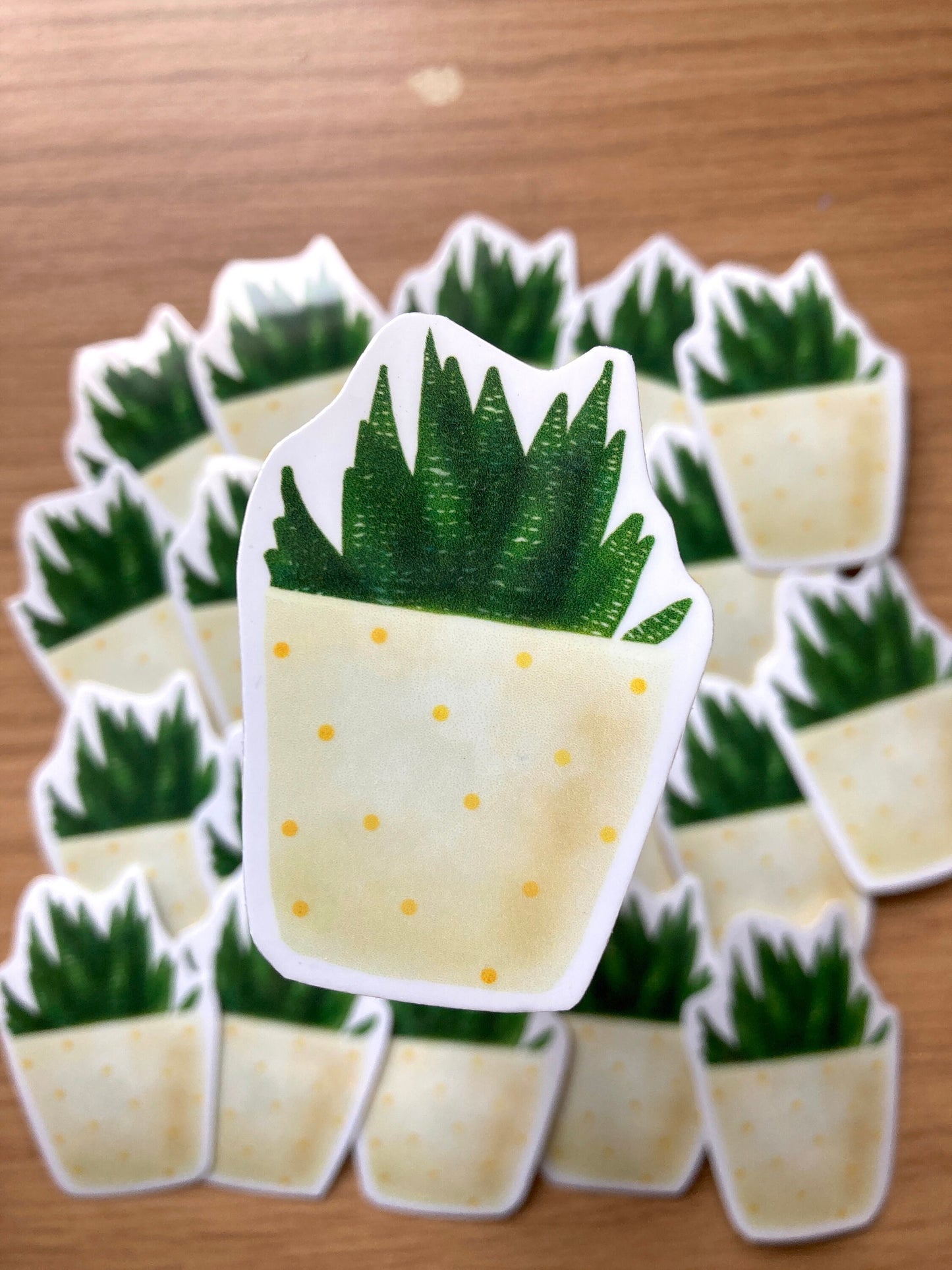 Cute cactus Vinyl Sticker, Perfect gift for the sticker lover, small cute gift, cactus vinyl , TurtleCraftUK