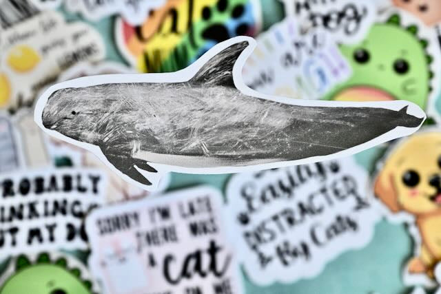 Realistic whale vinyl stickers