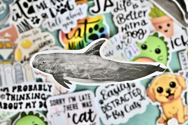 Realistic whale vinyl stickers