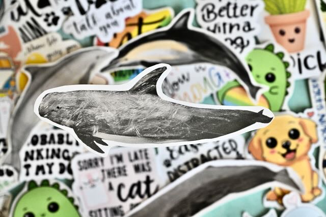 Realistic whale vinyl stickers