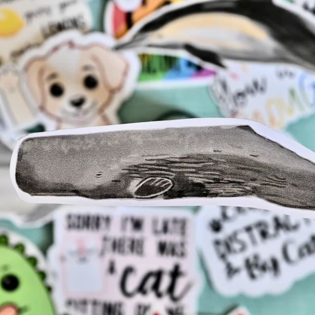 Realistic whale vinyl stickers