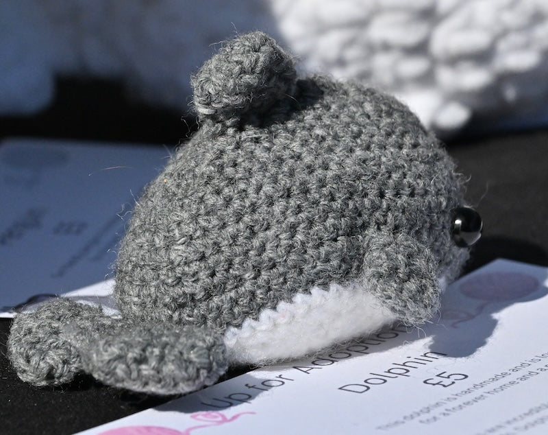 Dolphin