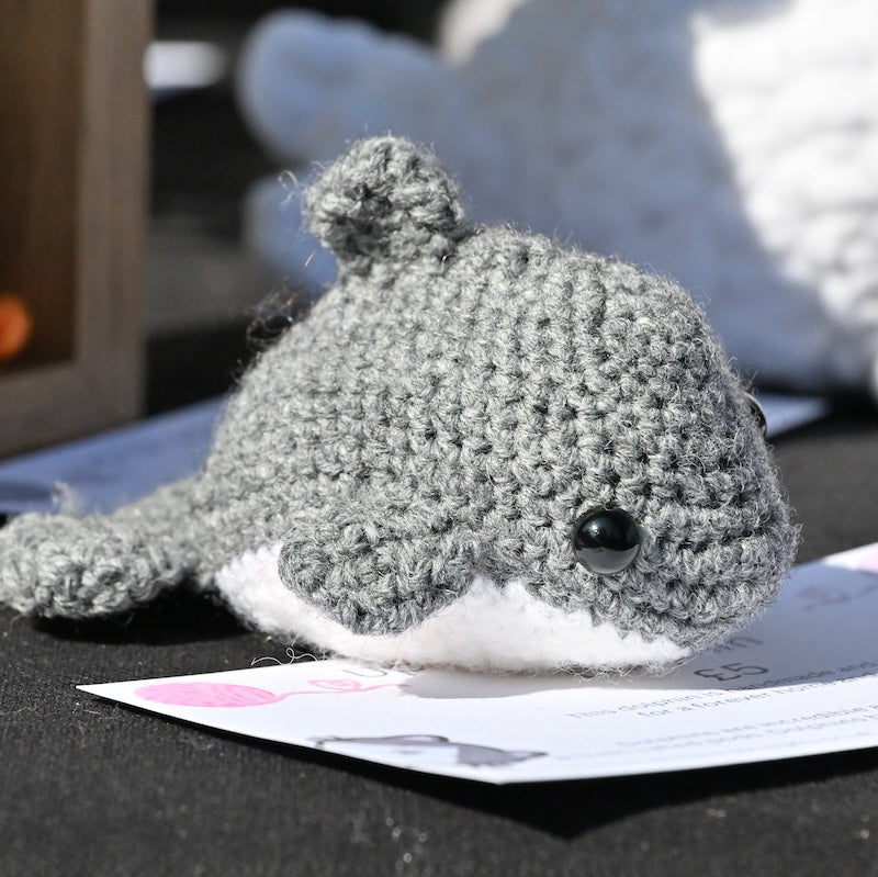 Dolphin