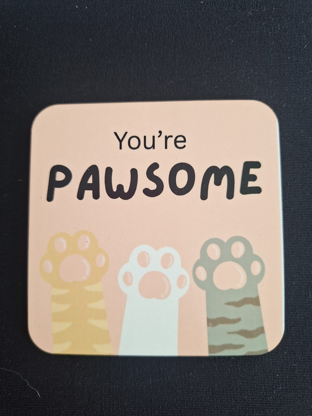 You're Pawsome Cup Coaster