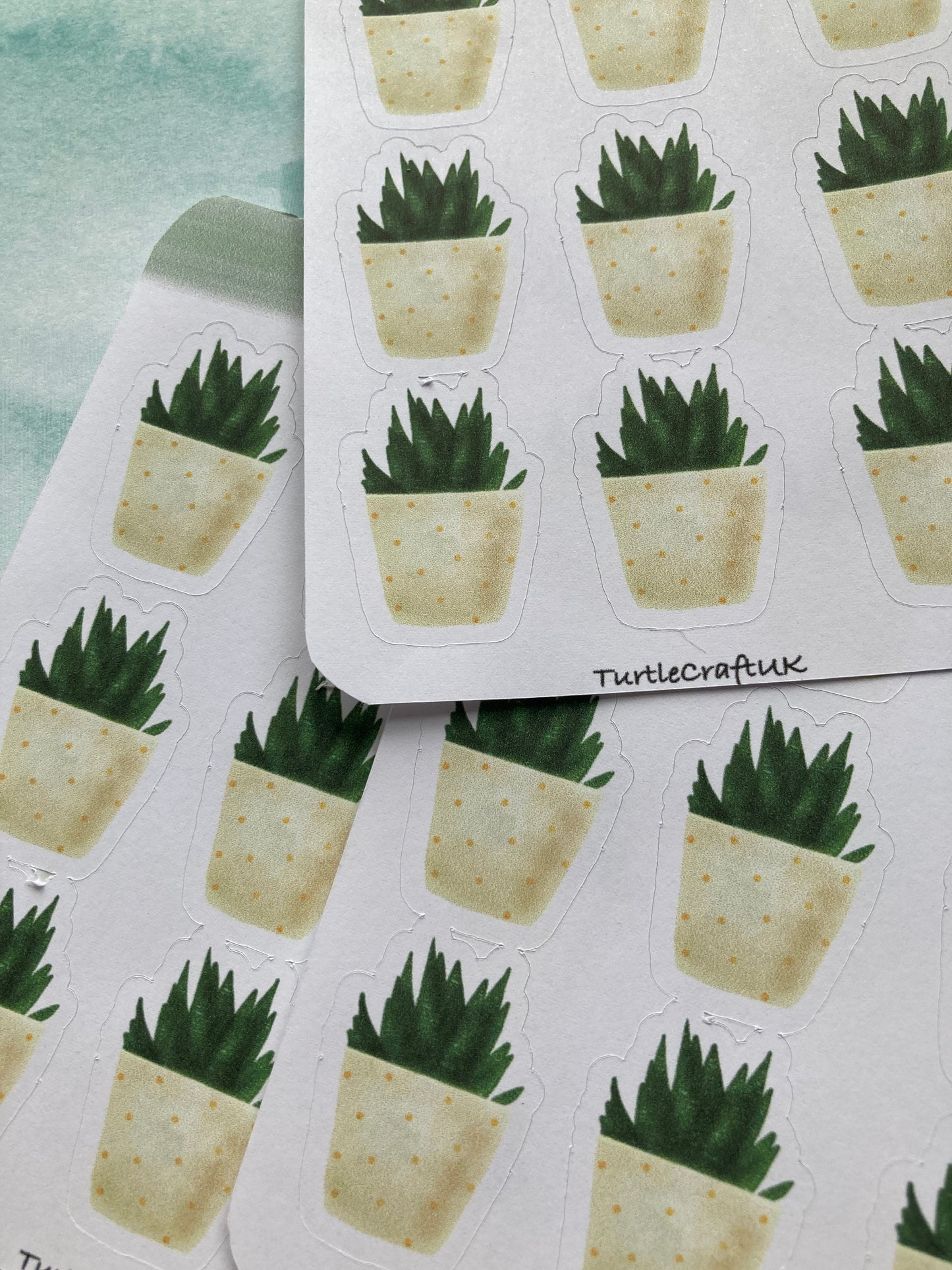 Cactus stickers/ Cacti Sticker Sheet/ succulents stickers/cactus love stickers/ Perfect for bullet journal/ Turtle Craft UK/Planner stickers