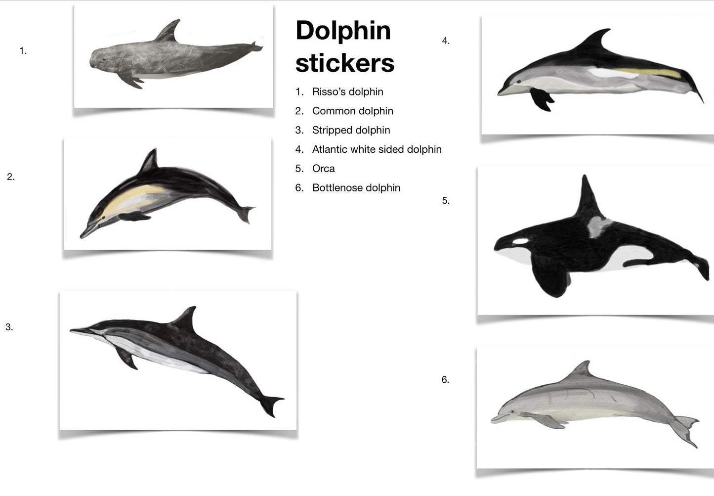 Realistic Humpback Whale Sticker Sheet