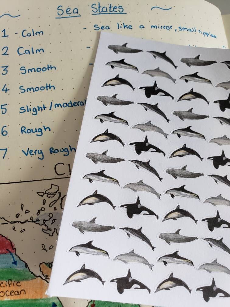 Realistic Humpback Whale Sticker Sheet