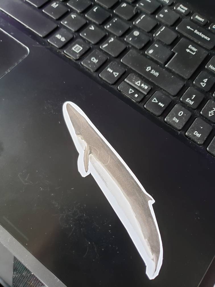 Realistic whale vinyl stickers