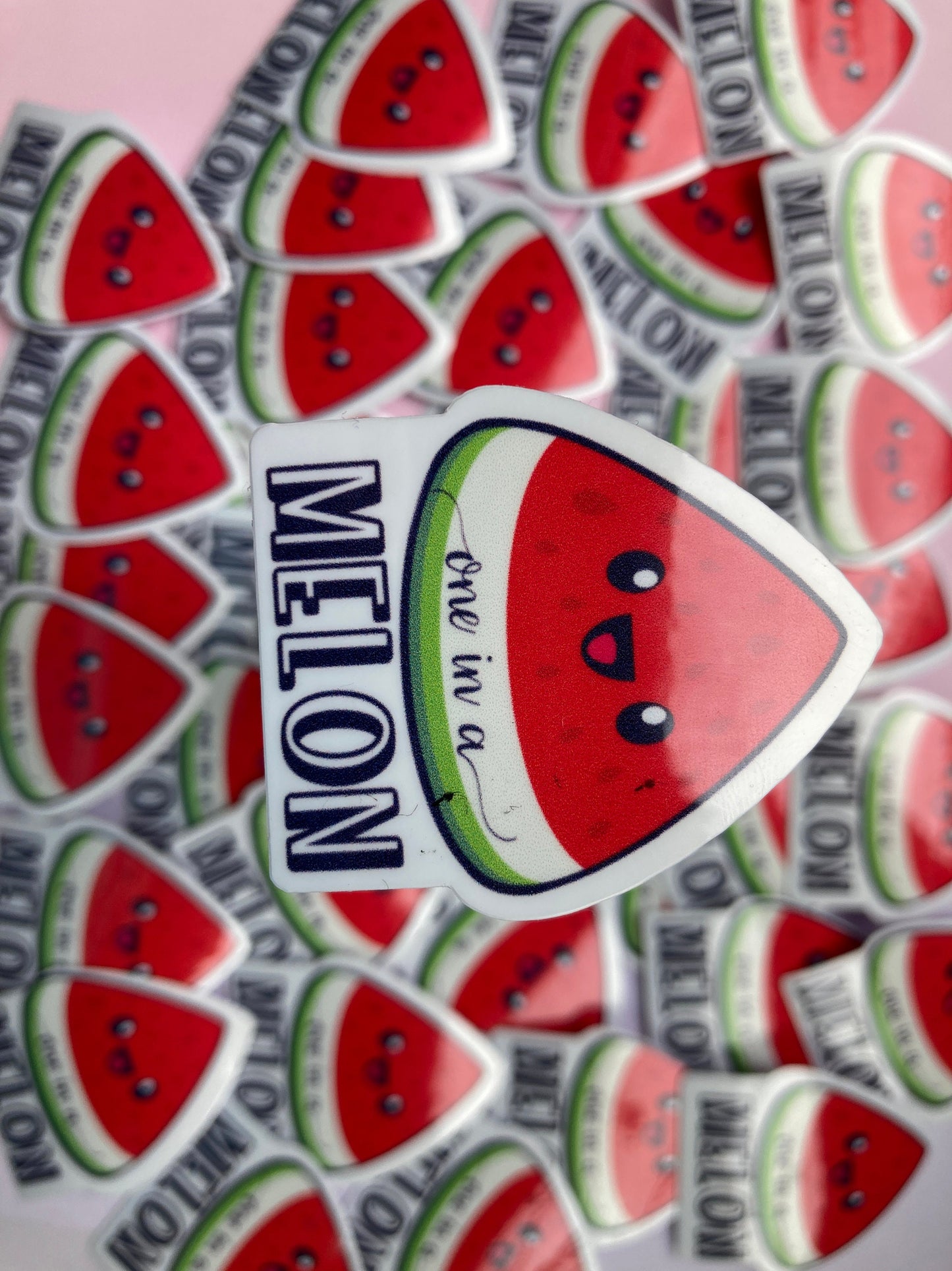 One in a melon vinyl Sticker, melon vinyl, summer Sticker, vinyl sticker gift, Decal, Laptop Sticker, Laptop Decal, cute sticker gift
