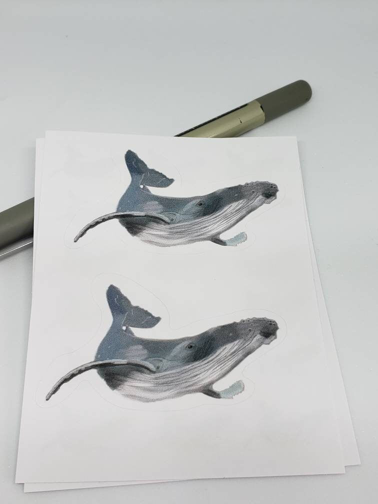 Realistic Humpback Whale Sticker Sheet