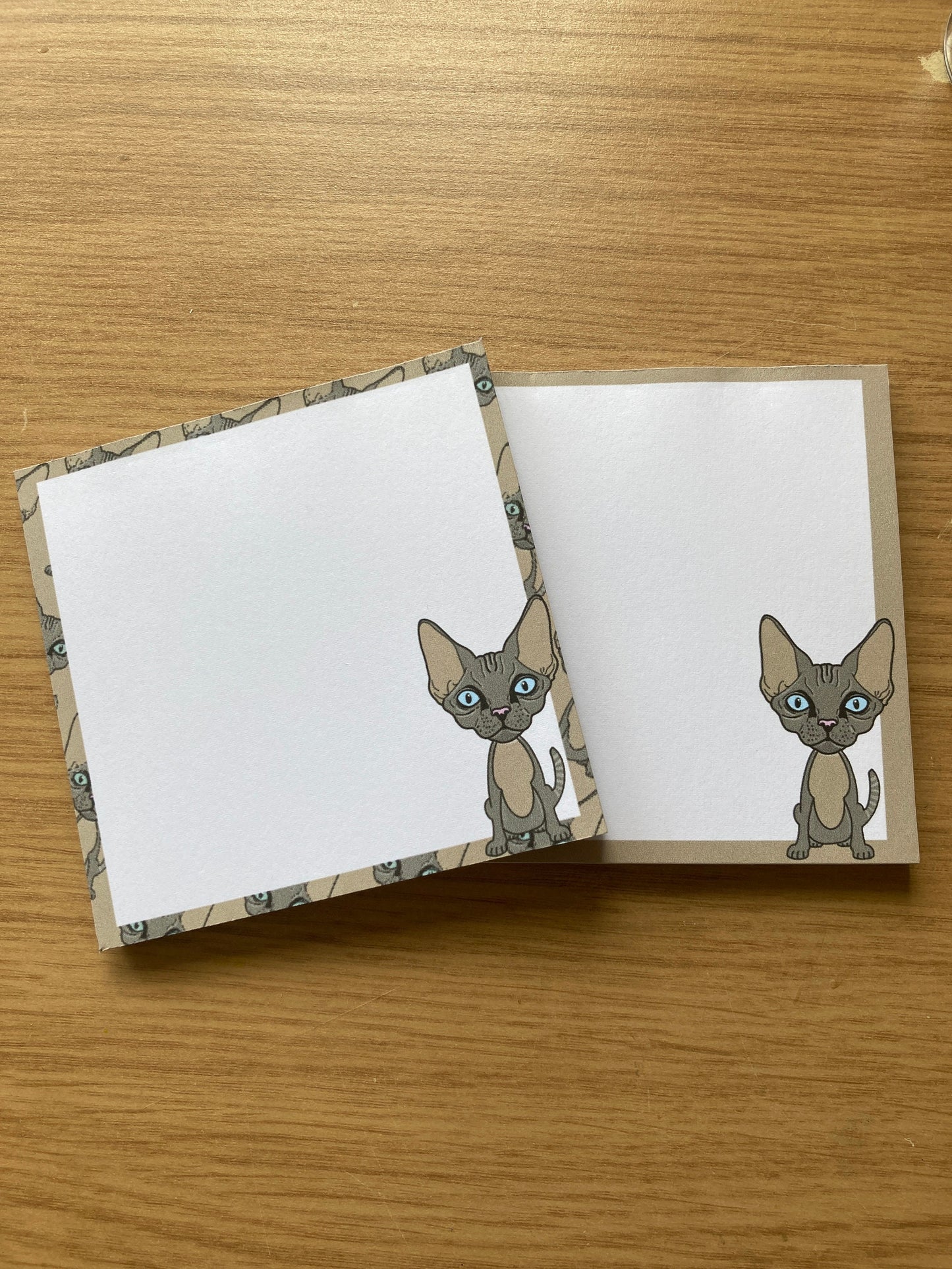 Devon Rex Cat Memo Pad Notepad