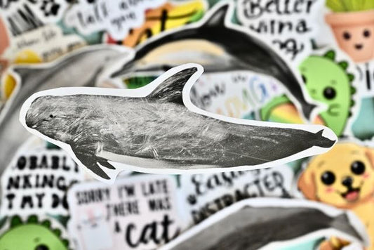 Realistic whale vinyl stickers