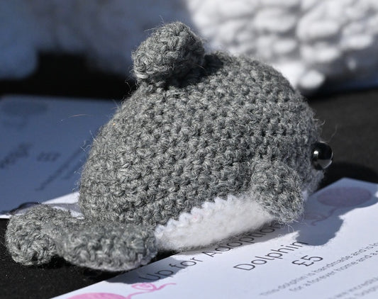 Dolphin