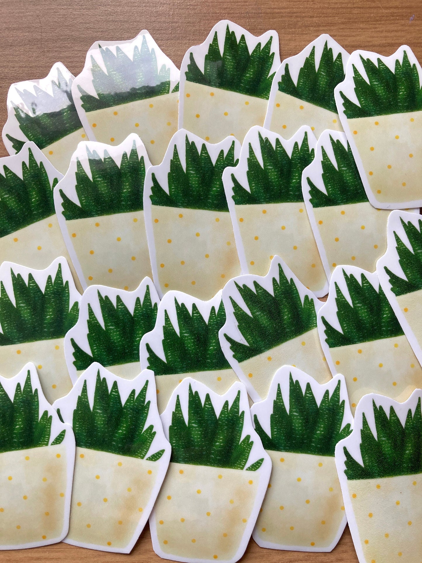 Cute cactus Vinyl Sticker, Perfect gift for the sticker lover, small cute gift, cactus vinyl , TurtleCraftUK
