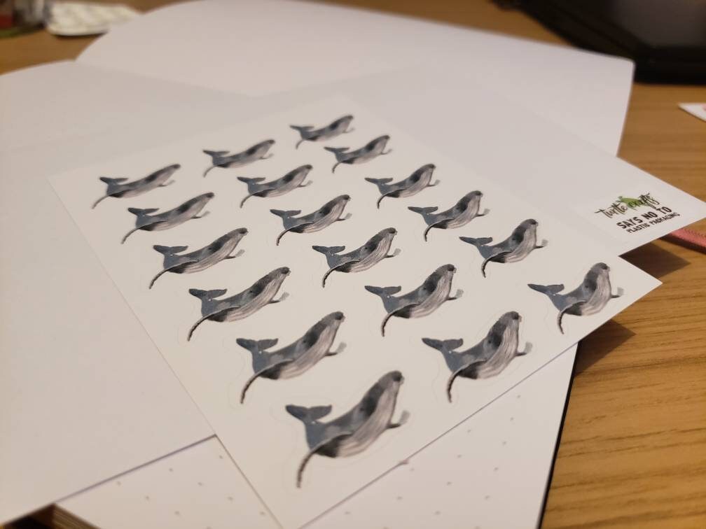 Realistic Humpback Whale Sticker Sheet